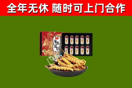 太和区回收冬虫夏草价格